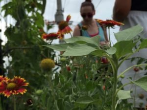 flowers with participant in bg