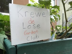 krewe de lose garden club sprout