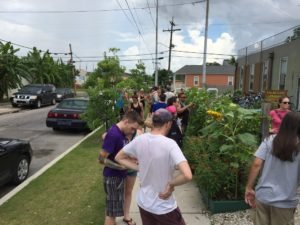 sprout nola crowd gathers