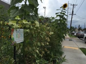 sprout nola fence